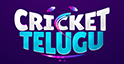Cricket Telugu Stories
